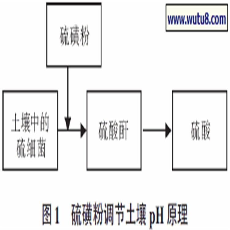 呼和浩特工業(yè)級硫磺粉 果園 花卉苗圃 土壤改良硫磺粉