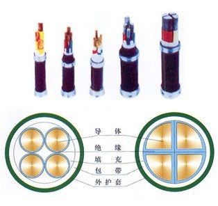 厦门 YJV_铜芯交联聚乙烯绝缘聚氯乙烯护套电力电缆