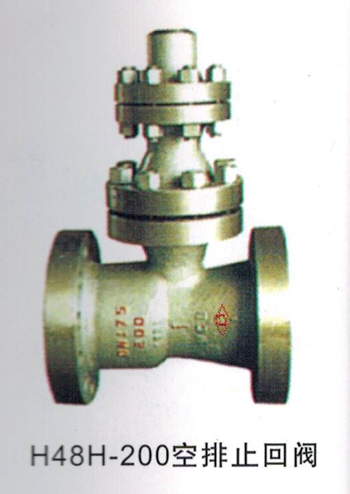 H48H-200空排止回阀、止回阀、空排止回阀供应商、上海空排止回阀