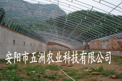 多功能大棚骨架 复合材料大棚 大棚骨架建设