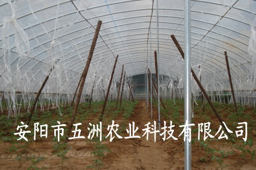 復合材料大棚骨架拱棚 新型鋼管鍍塑大棚骨架機 安陽五洲