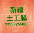 新疆西龍土工新材料股份有限公司Logo