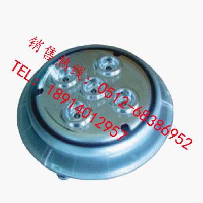 NFC9173固態(tài)免維護(hù)頂燈 陽(yáng)崗電器一流品質(zhì)