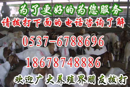 山东三农牧业，三农牧业养殖场，三农牧业，三农牧业在哪里