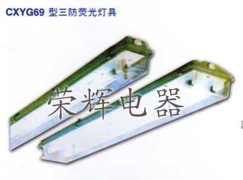 FAY6010防水防潮防腐全塑荧光灯