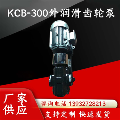 KCB-300外润滑齿轮泵重油泵耐磨抗杂质油泵淀粉泵