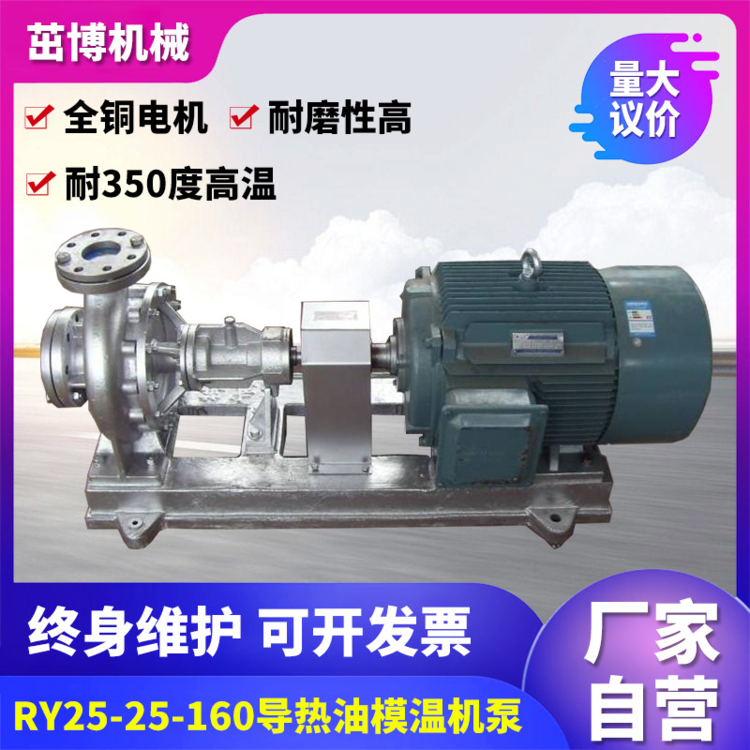 RY125-100-250導熱油泵模溫機設備導熱油鍋爐循環(huán)泵