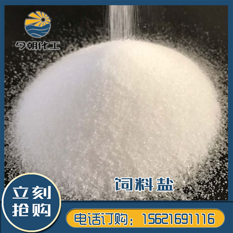 今朝工業(yè)鹽副產(chǎn)鹽水處理國標(biāo)品質(zhì)源頭工廠