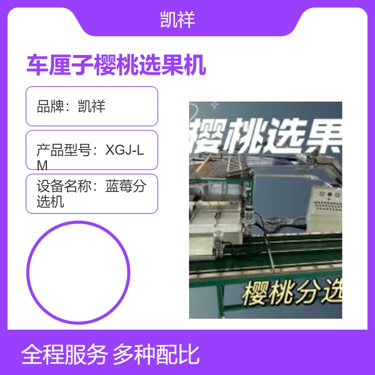 櫻桃選果機(jī)，車(chē)?yán)遄宇A(yù)冷保鮮分選機(jī)，大櫻桃分選設(shè)備