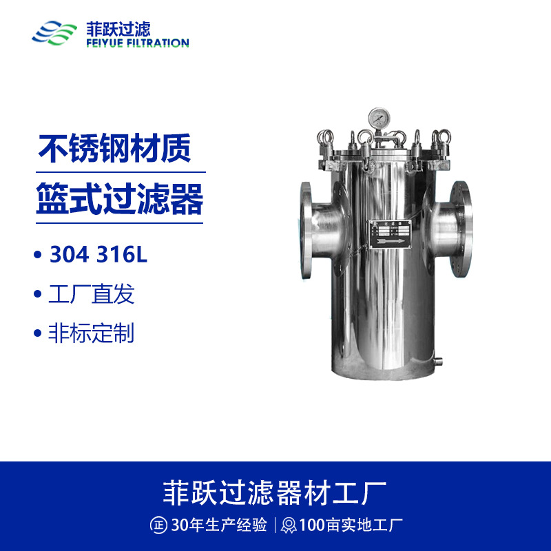 菲跃304316L不锈钢篮式过滤器法兰DN50DN100DN150DN200300