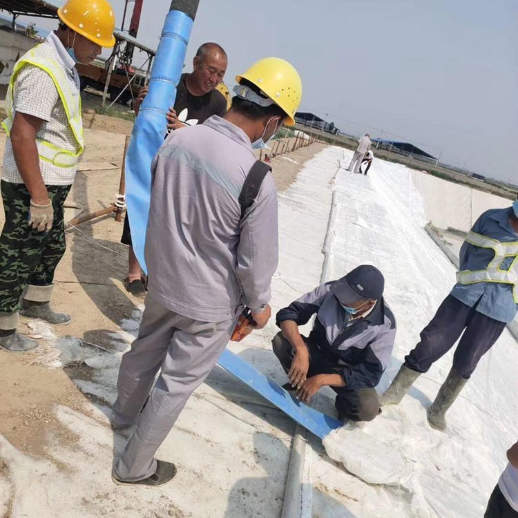 路易达新材料河道护坡植草模袋畜牧养殖氧化塘护坡用土工模袋