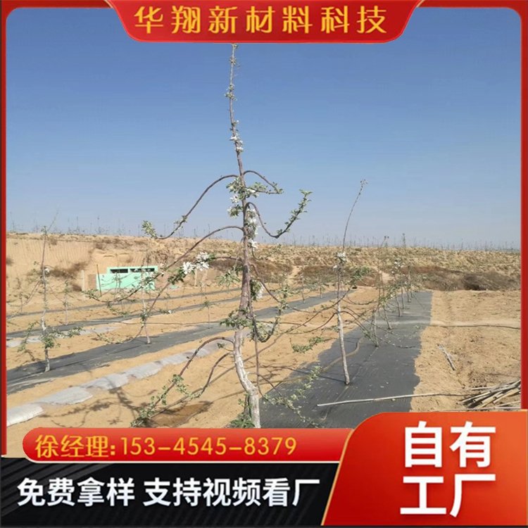 厂家订购除草黑色地膜遮草布施工简单运行稳定