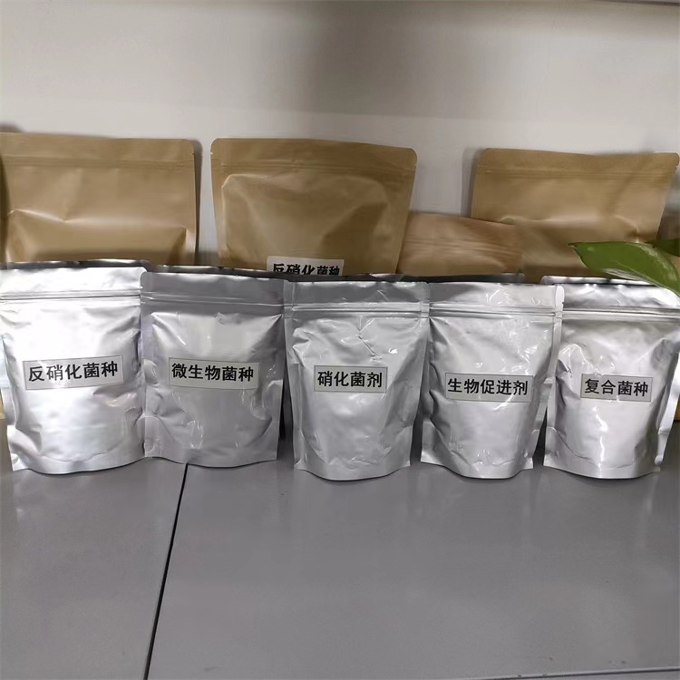 固体好氧菌种粉剂污水处理菌种用量用法开碧源净水样品包邮