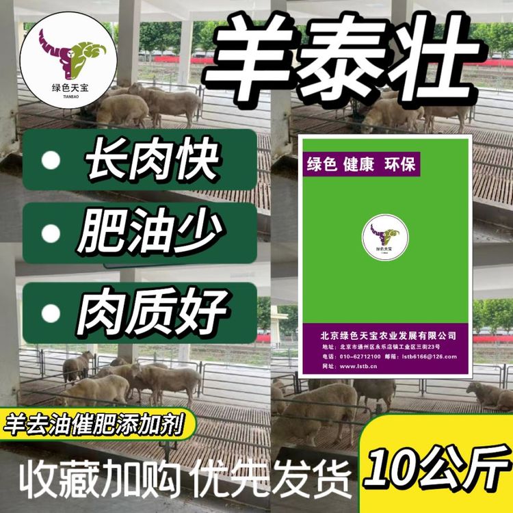 羊泰壮包膜胍基乙酸肉羊催肥长肉肉质好和外观漂亮