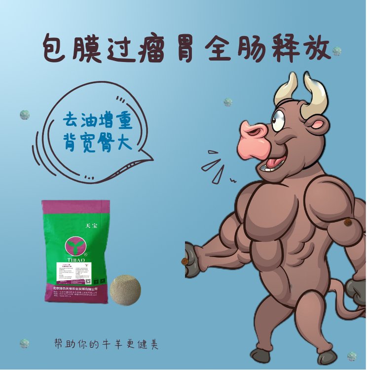 肉牛催肥小料包膜胍基乙酸力能去油塑型瘦肉多牛羊饲料