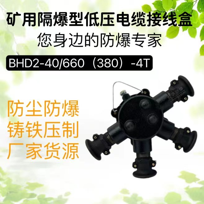 煤矿用防水防爆分线盒BHD2-40\/660(380)-4T四通隔爆接线盒