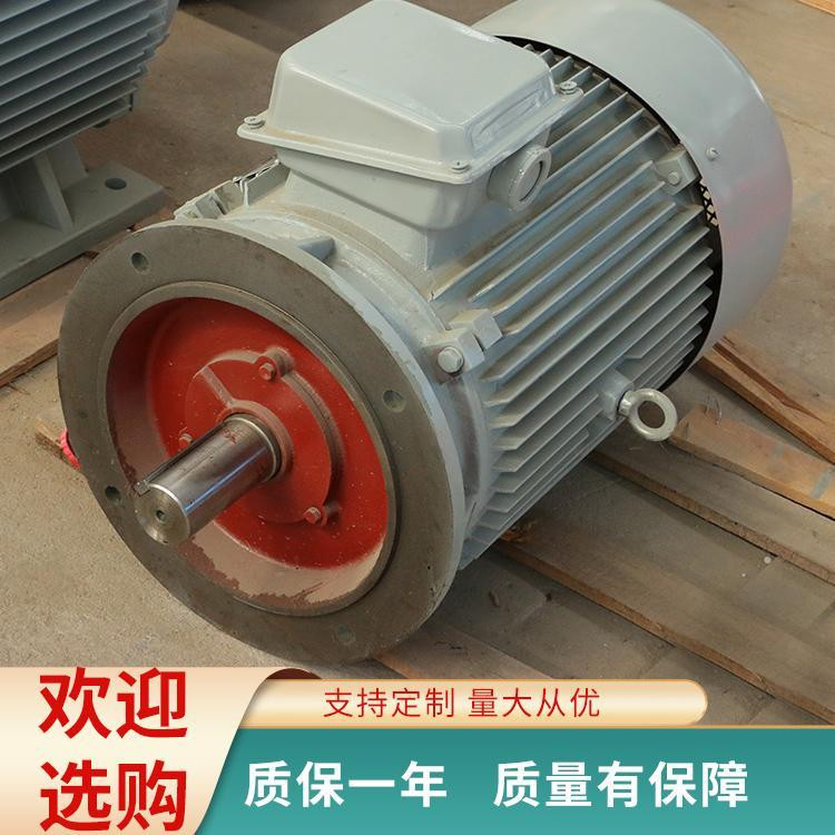 立式法兰安装永磁发电机1000w-5000kw直驱稀土无刷免维护永磁电机