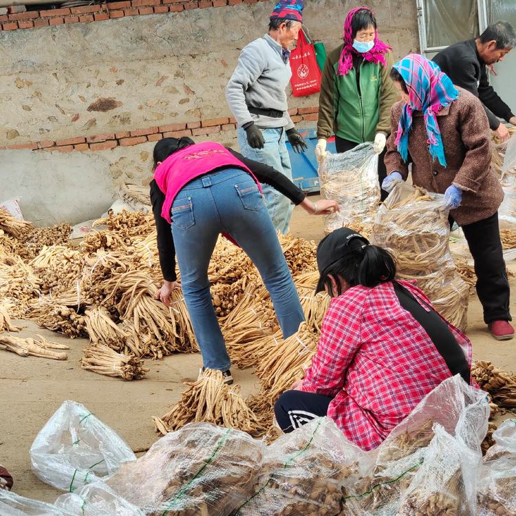 大量供应东北罗卜干东北青罗卜干产地货源咸菜罗卜干批发