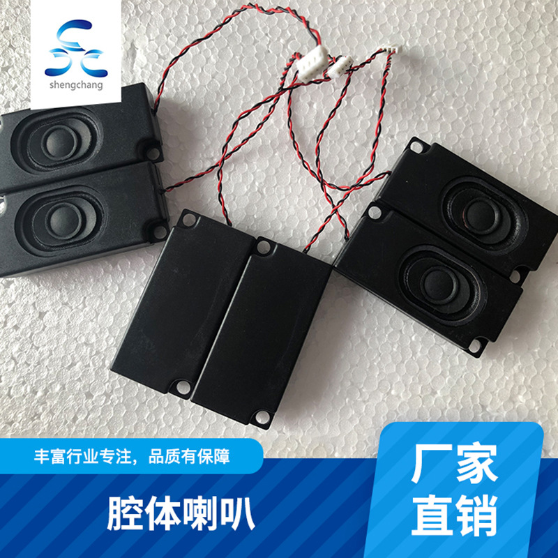 長(zhǎng)方形揚(yáng)聲器電視機(jī)廣告機(jī)液晶顯示器小音箱腔體喇叭批發(fā)