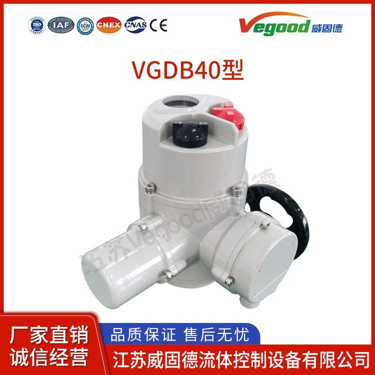 VGDB40型角行程系列VGDQ系列执行器防爆型电动执行器