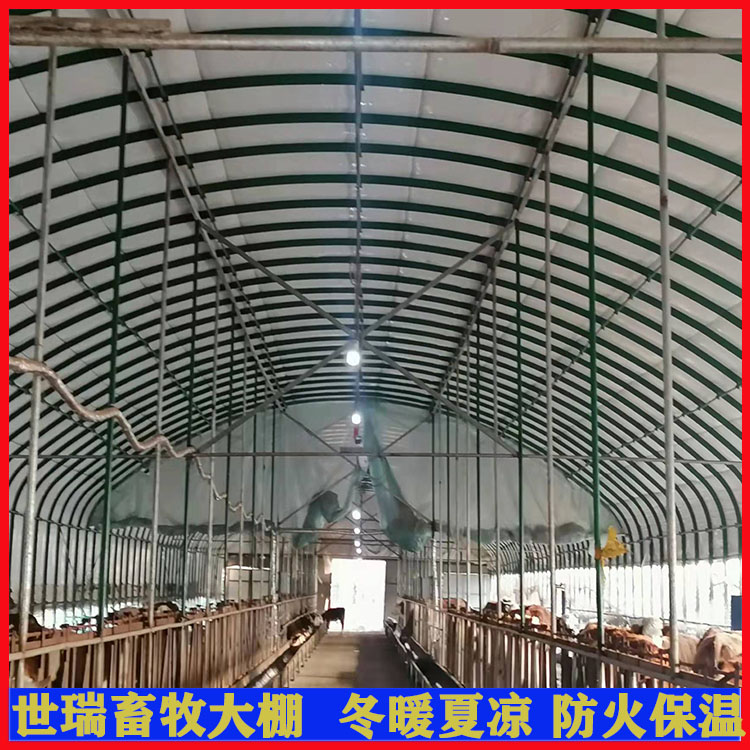 搭建养牛棚材料牛舍大棚建设钢架养牛大棚施工黄牛养殖大棚