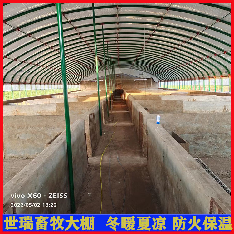 养猪场猪舍大棚建设大棚式养猪舍搭建钢架养猪大棚施工建造