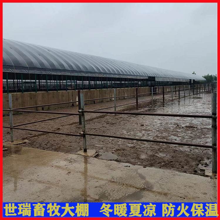 现代牛舍大棚建设温室养牛大棚搭建智能养牛棚规划施工世瑞畜牧