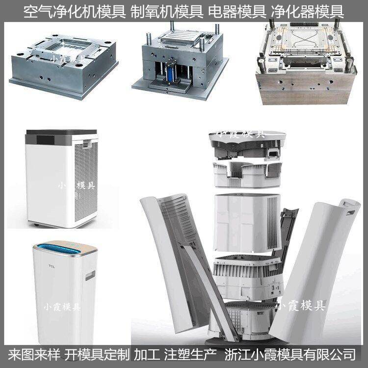 黄岩大型注塑模具工业净化器塑料外壳模具