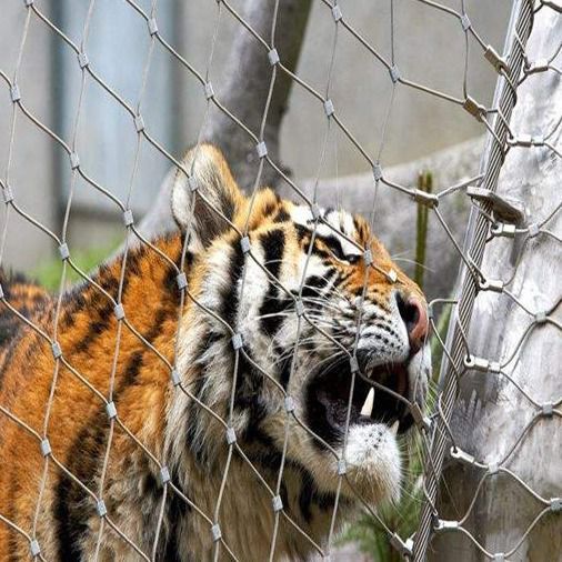 動(dòng)物園圍欄網(wǎng)編織籠舍軟網(wǎng)304卡扣防墜落不銹鋼絲繩網(wǎng)