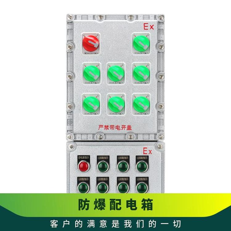 防爆控制箱-检修箱照明动力配电型号BXK电压220V380