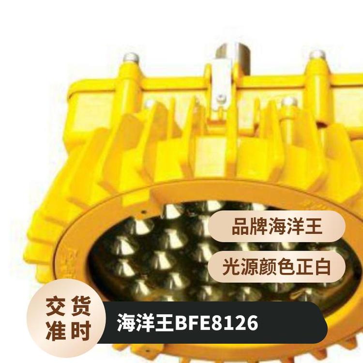 海洋王BFE8126LED防爆泛光应急灯正白浙江支架式IP657