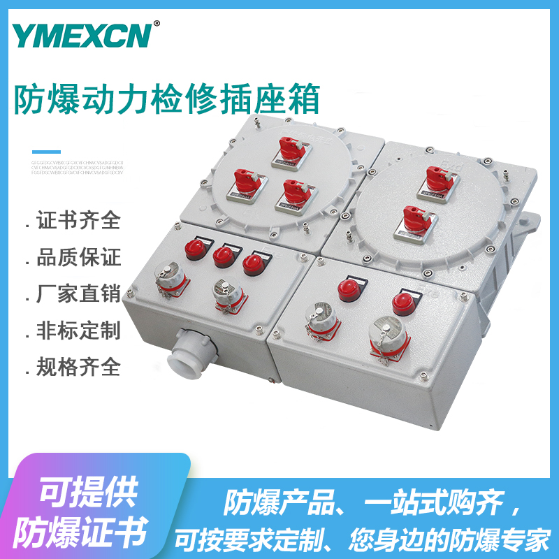  BXX52-6\/63A防爆动力检修箱电源插座箱开关箱雅明专业定制