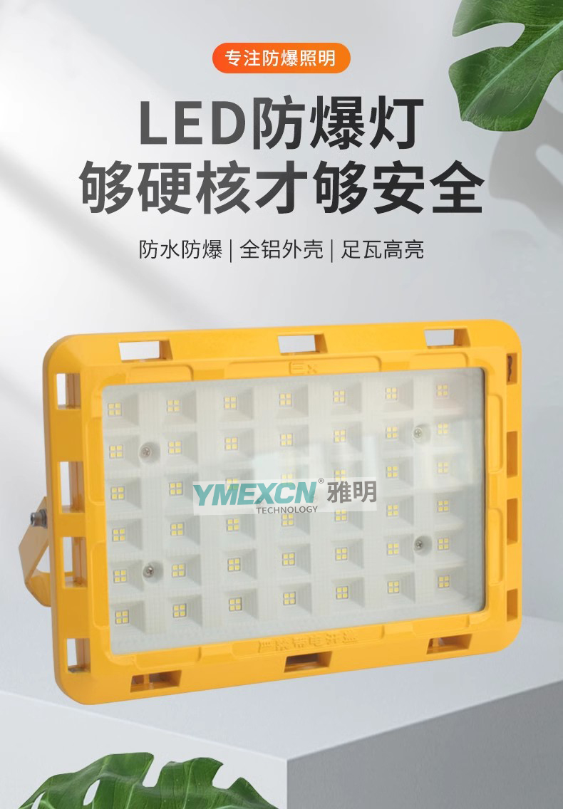 LED防爆灯化工厂房车间100W150W仓库加油站200W300W投光泛光灯