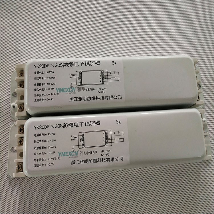 YK20DFX2CS防爆电子镇流器YK20DFX2A独脚荧光灯专用