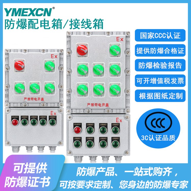 BXMD防爆配电箱IIB\/IIC级隔爆型风机控制箱开关箱照明动力配电柜