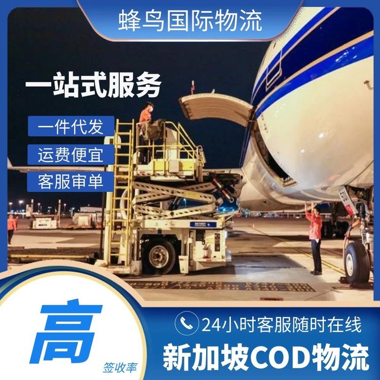 東莞新加坡電商COD物流海外倉一件代發(fā)專業(yè)服務(wù)簽收高