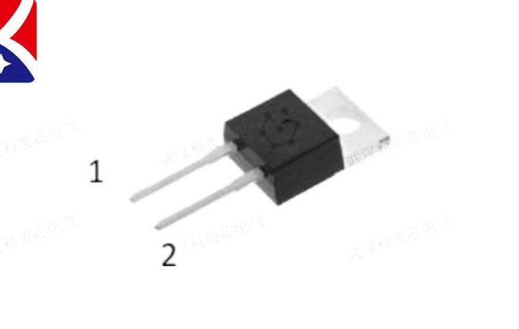 派恩杰碳化硅二极管分立半导体P4D06020I2（650V\/52nC）