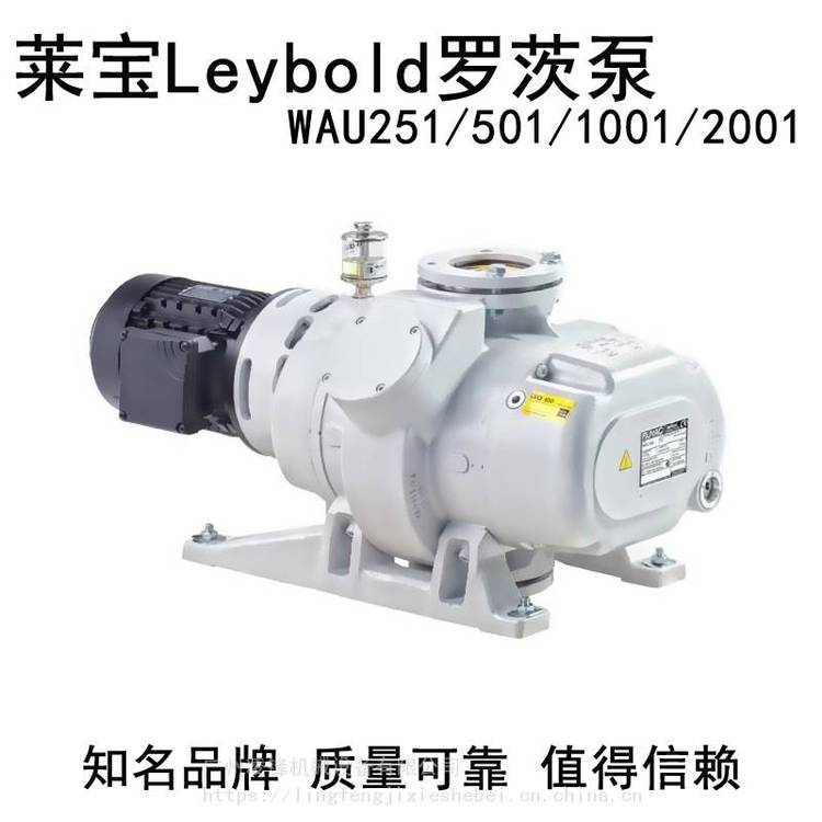 德國萊寶WAU2001羅茨泵Leybold真空泵WSU高真空機組電動鐵鑄風(fēng)冷水冷