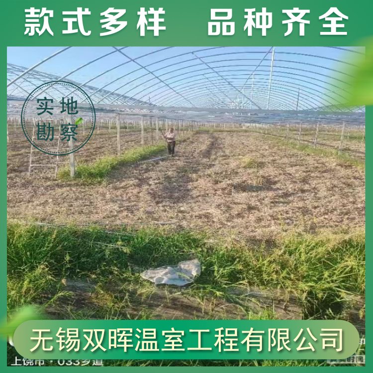 双晖温室蔬菜种植薄膜连栋大棚建造可实地测量设计