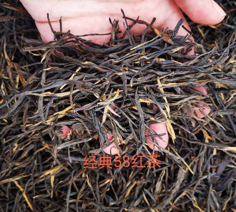 重庆沱茶茶叶加工要求