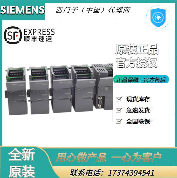 6ES72881SR300AA1西门子PLC标准型继电器输出6ES7288-1SR30-0AA1