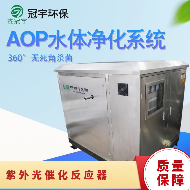 UV-AOP高强度紫外光催化反应器大型管道式光氧化杀菌系统厂家调试