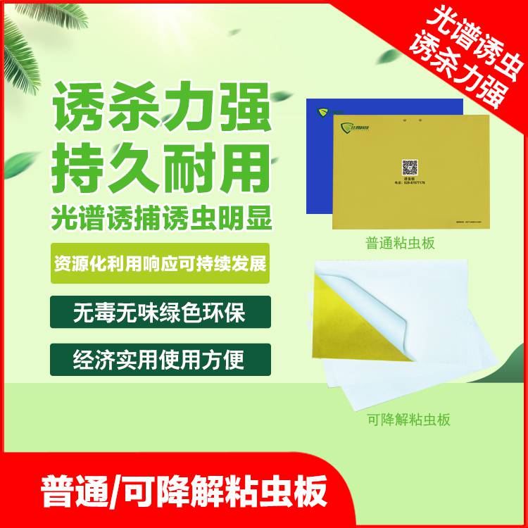 比昂科技纸质粘虫板双面胶效果好厂家批发库存充足