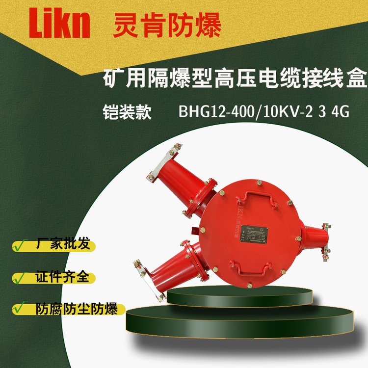 鎧裝款礦用隔爆型高壓電纜接線(xiàn)盒BHG1-400\/10KV-2G3G防爆分線(xiàn)盒