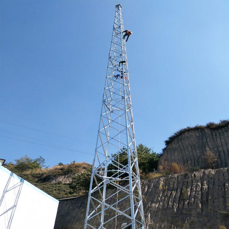 角钢避雷塔圆钢避雷针塔钢管避雷针天信塔业制作安装