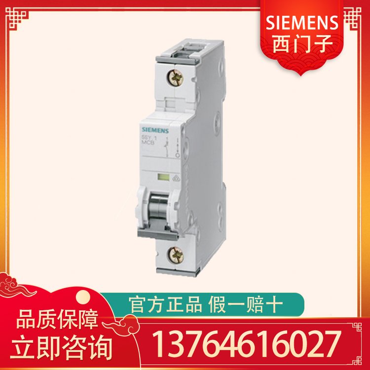 SIEMENS西门子分段与隔离微型断路器5SY62157CC