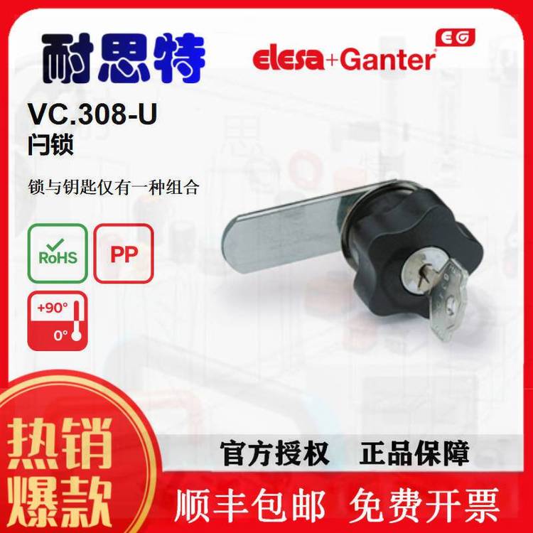 VC308\/40-D系列锁GANTER德国进口