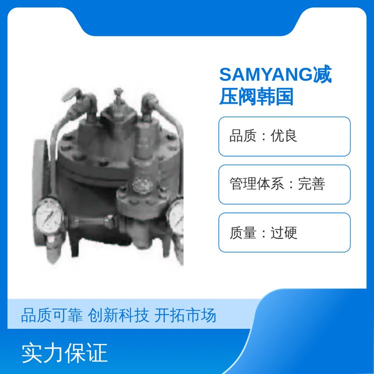 SAMYANG韩国蒸汽减压阀不锈钢法兰规格齐全精细化工支持定制