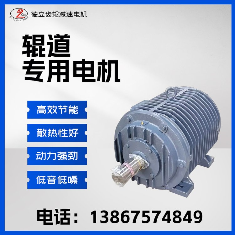 德立辊道运输用辊道电机三相异步电动机YGB160L2-8-5.6KW