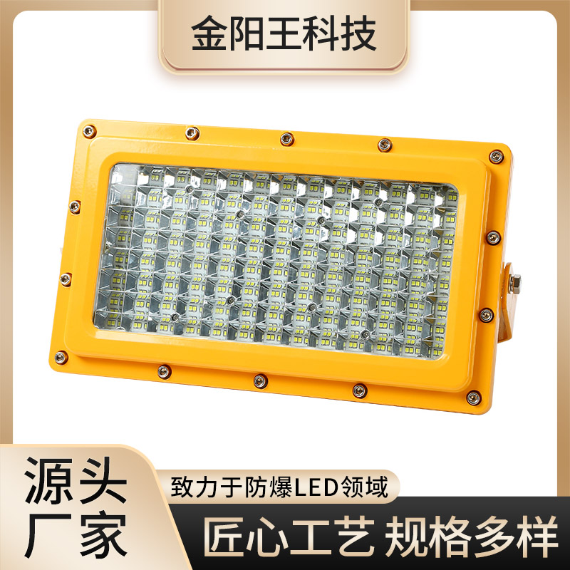 矿用隔爆型LED巷道灯DGS150\/127L出线孔两侧设计安装便捷金阳王